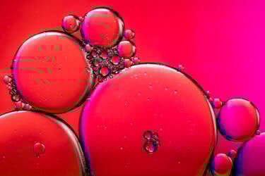 Ross Hoddinott | Nikon magazine